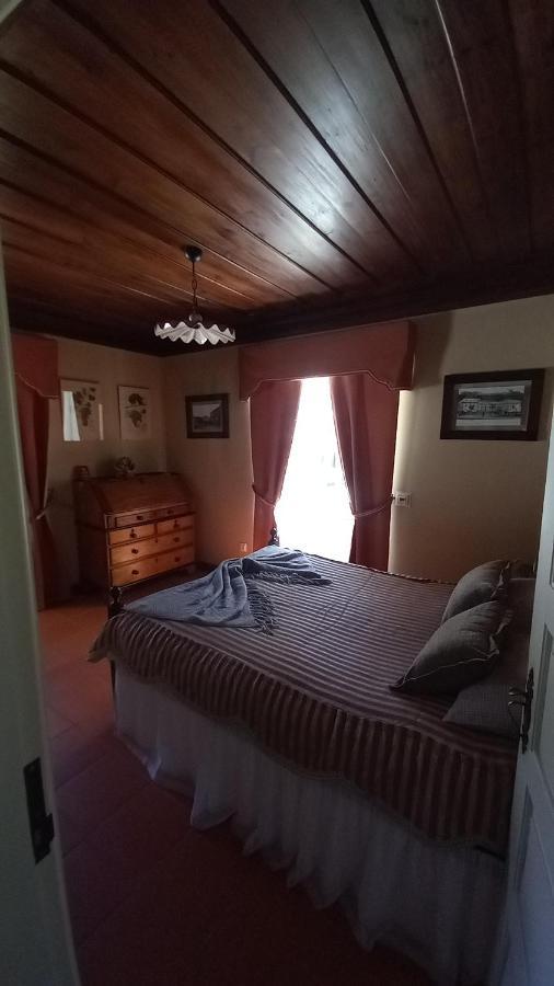 Casa Do Lobo Villa Lamego Ngoại thất bức ảnh